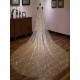 Gold Cathedral Lace Sparkling Waterfall One Tier Cut Edge Wedding Veils