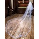 Ivory Cathedral Waterfall Lace Applique 2 Tier Long Wedding Veils