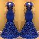 Gorgeous Royal Blue Prom Dresses Long Sleevess Evening Gowns with Rose Flowers