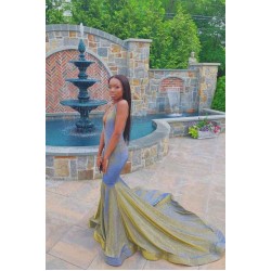 Radiant V-neck Sleeveless Brush Train Long Mermaid Prom Dresses