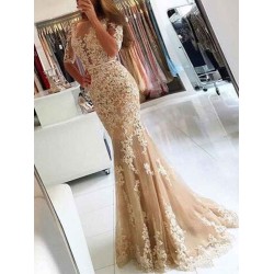 Charming Evening Dress Mermaid Illusion Neckline Lace Applique Formal Party Dresses With Train