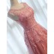 Glamorous Long Evening Dresses Lace Cameo Pink Party Dress A Line Applique Tulle Maxi Formal Dress