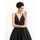Modern Celebrity Dresses Black Oscar Evening Dress Straps Backless Deep V Taffeta Dress