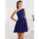 Charming Pleats One Shoulder Sleeveless Short Chiffon Bridesmaid Dresses