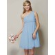 Classy Sleeveless One Shoulders Sash/Ribbon/Belt Short Chiffon Bridesmaid Dresses