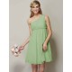 Classy Sleeveless One Shoulders Sash/Ribbon/Belt Short Chiffon Bridesmaid Dresses
