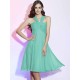 Charming Halter Sleeveless Pleats Short Chiffon Bridesmaid Dresses