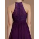 Charming Halter Sleeveless Lace Short/Mini Chiffon Bridesmaid Dresses