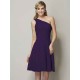 Classy Sleeveless One Shoulders Ruched Short Chiffon Bridesmaid Dresses