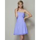 Charming Strapless Sleeveless Pleats Applique Short Chiffon Bridesmaid Dresses