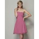 Charming Strapless Sleeveless Pleats Applique Short Chiffon Bridesmaid Dresses