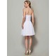 Charming Strapless Sleeveless Pleats Applique Short Chiffon Bridesmaid Dresses