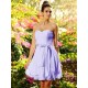 Gorgeous Sweetheart Bowknot Sleeveless Short Chiffon Bridesmaid Dresses