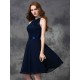 Charming Halter Lace Sleeveless Short Chiffon Bridesmaid Dresses