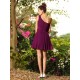 Charming One Shoulder Pleats Sleeveless Short Chiffon Bridesmaid Dresses